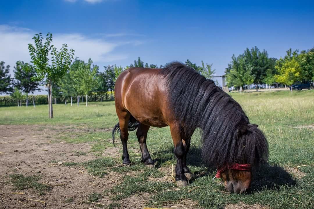Готель Salas Tatic Turija Екстер'єр фото